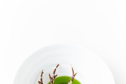 Εστιατόριο Geranium