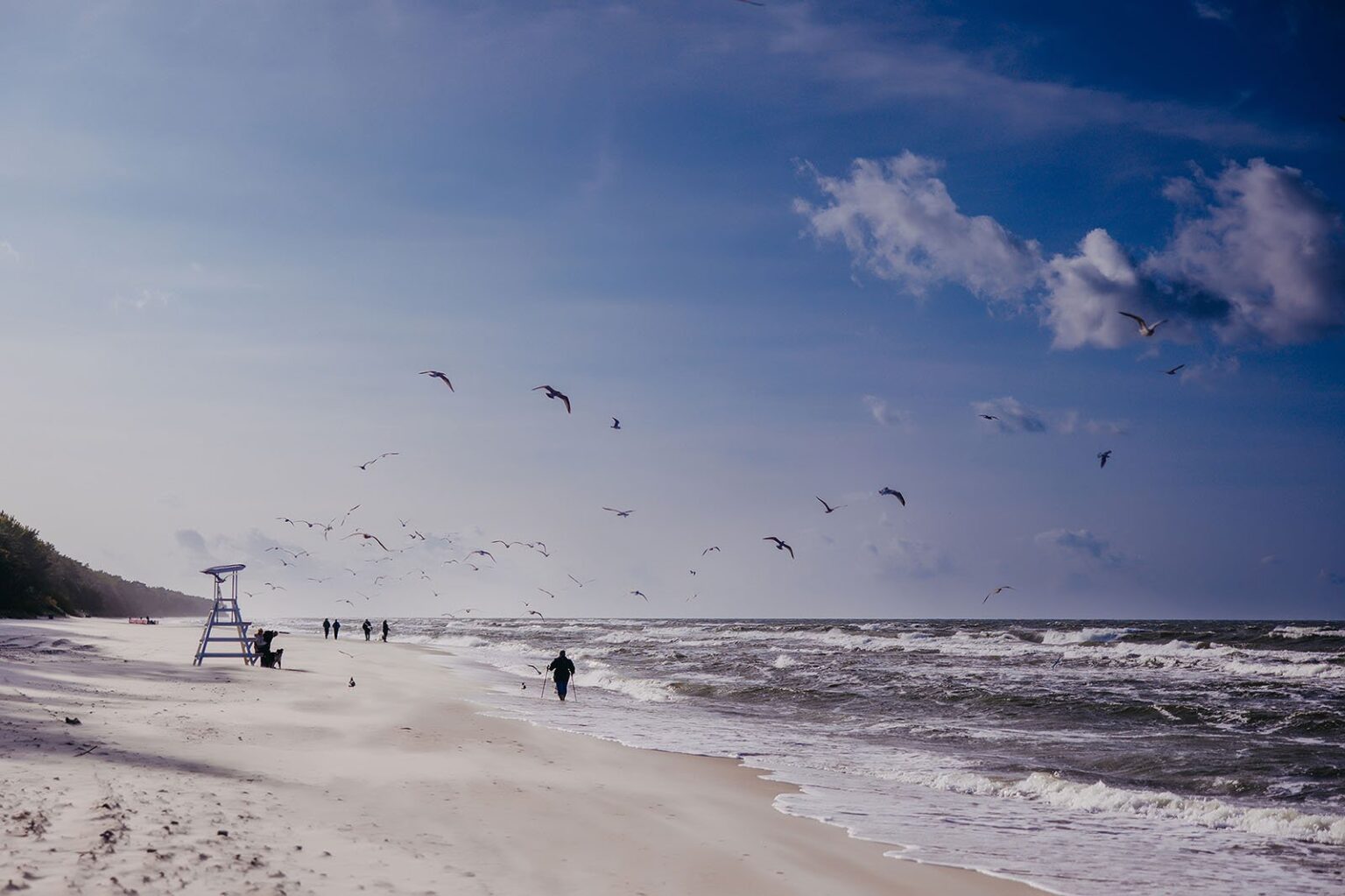 Χειμερινοί περίπατοι στη θάλασσα Linea Mare
