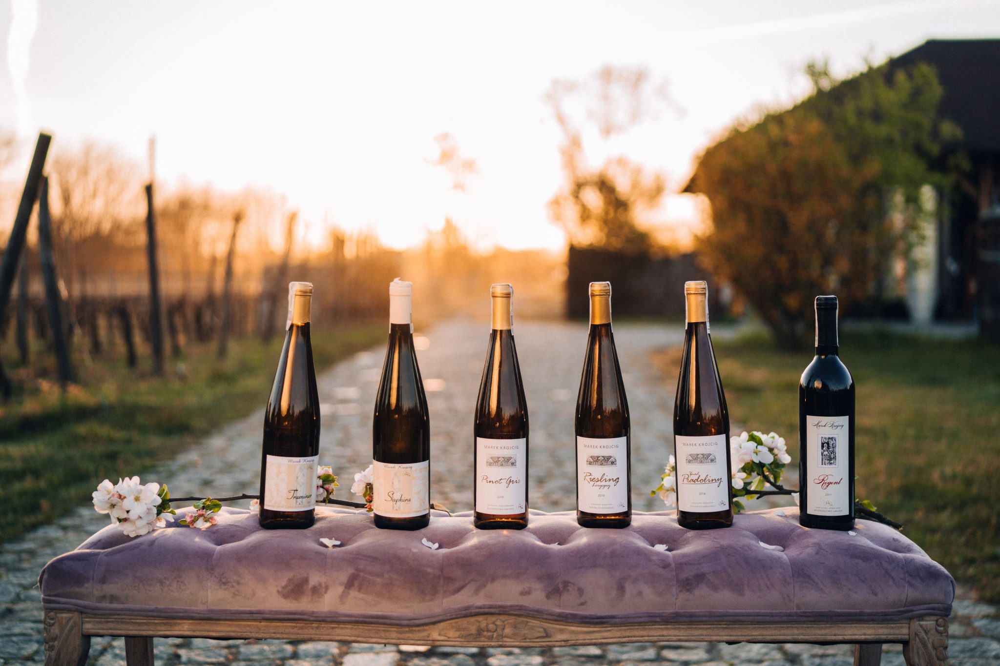 Αμπελώνες στη Ζιελόνα Γκόρα