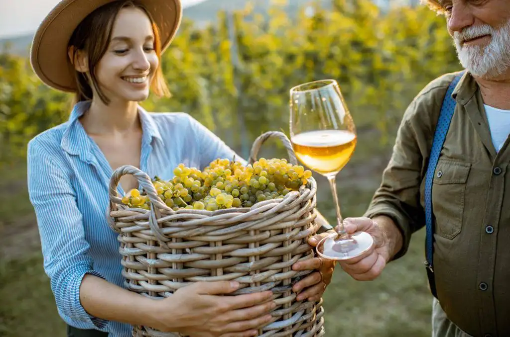 Ψηφιοποίηση Της Αγοράς Κρασιού Στην Πολωνία Τεχνολογίες Προκλήσεις Και Μέλλον