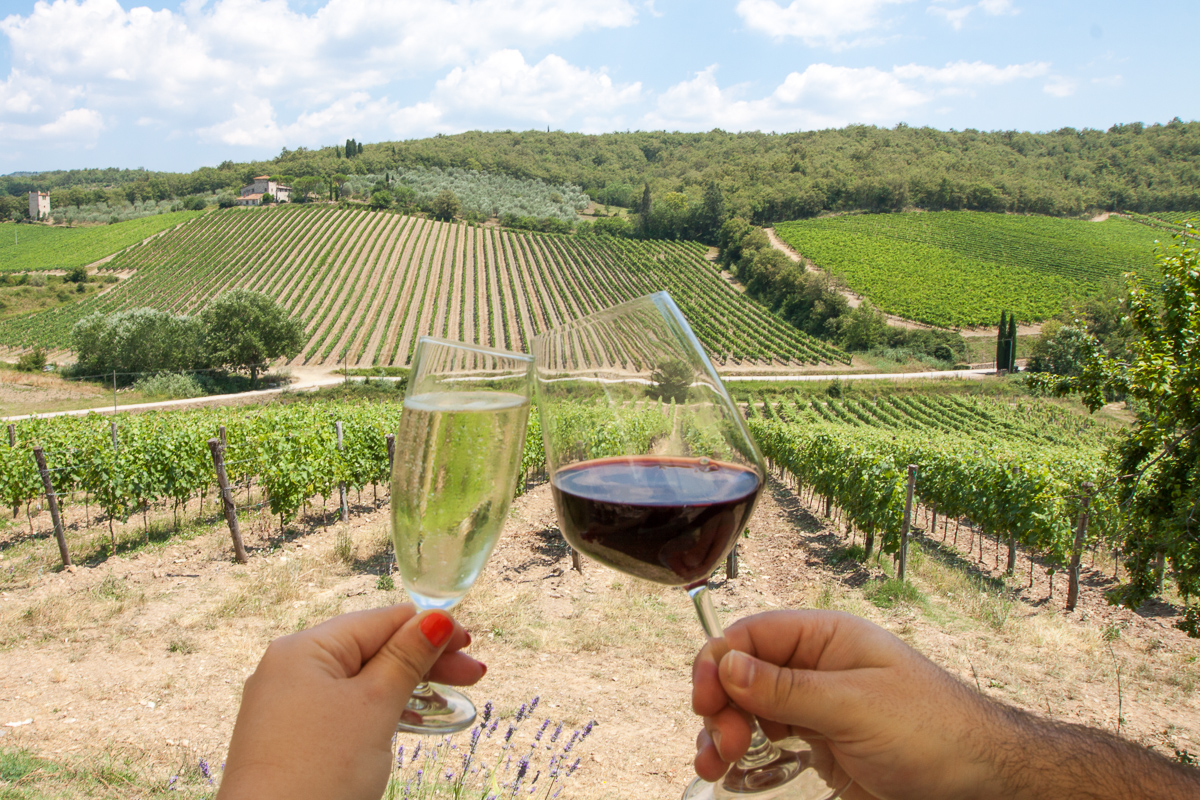 &Alpha;&mu;&pi;&epsilon;&lambda;ώ&nu;&epsilon;&sigmaf; &sigma;&tau;&eta;&nu; &Tau;&omicron;&sigma;&kappa;ά&nu;&eta;