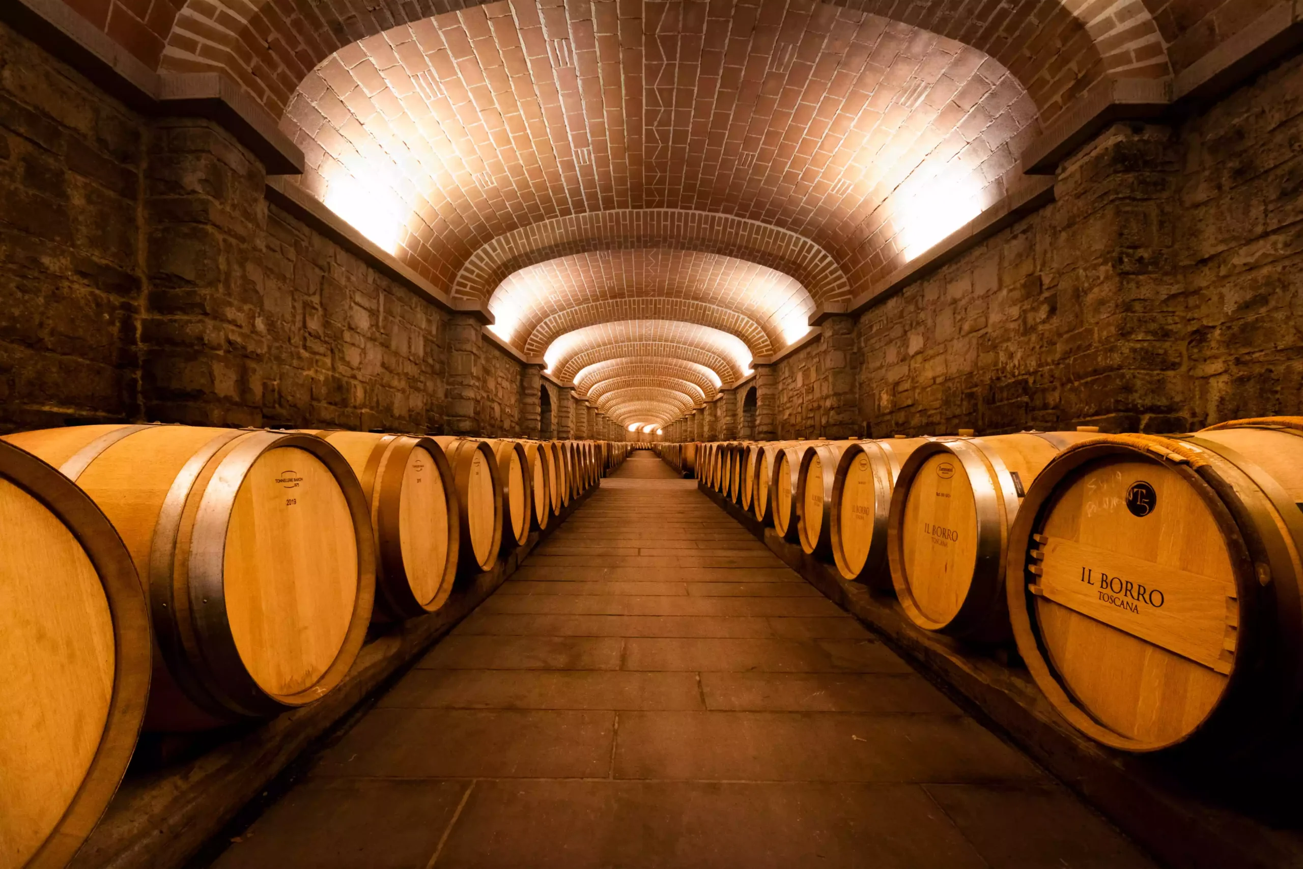 &Alpha;&mu;&pi;&epsilon;&lambda;ώ&nu;&epsilon;&sigmaf; &Sigma;&tau;&eta;&nu; &Tau;&omicron;&sigma;&kappa;ά&nu;&eta; Blog